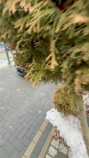 Baatz Performance on Instagram: "Tiefe KRATZER volles RISIKO ! BMW 5er Fahrzeug-Aufbereitung vom Profi ! Mit dem Rabatt Code : ( BAATZ10 ) bekommt ihr 10% im verlinkten Shop 💸 Dampf Drache 💸 * https://www.dampfdrache.shop/shop.php (BAATZ10) 💸Waschguru💸 *https://www.waschguru.de/ (BAATZ10) 💸Safe Shield 💸 https://www.safe-shield.eu/ (BAATZ10) #fahrzeugaufbereitung #BMW #detailing #vorhernachhertransformation #car"