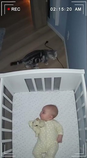 Guardian Angel Cat Watches Over Baby 👼💖 #Cat