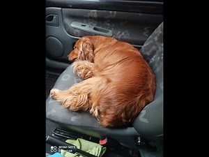 Cambiar tamaño del texto y algunos elementos en Windows 10