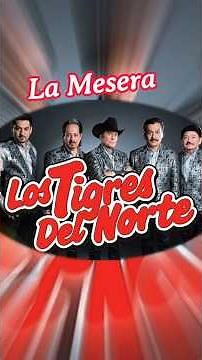 🪗 La mesera 🇲🇽 #lostigresdelnorte #norteño #exitos #mexico #music #parabeber #nostalgia #rolitas