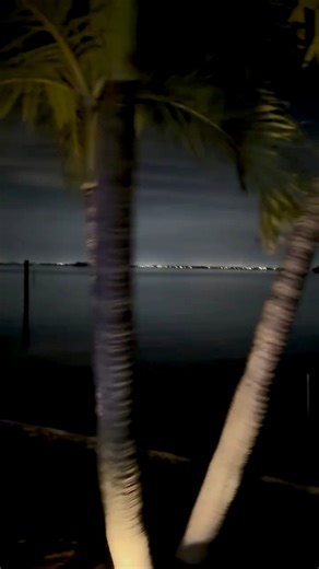 21 reactions | This is what a silent night feels like on Longboat Key. View from Longboat Key through Sarasota Bay towards the SRQ Airport. #longboatkey #thelongboatkeylife #silentnight #sarasotabay #nightview | Sharon Kranz Austin | Facebook
