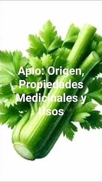 🌴 APIO : Origen , Propiedades y Usos