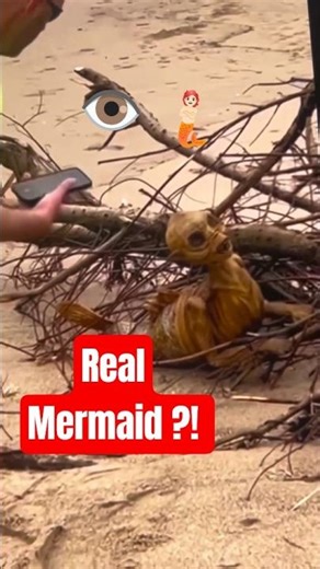 Ancient Mermaids: The Truth You Weren’t Supposed To See#Mermaid#RealMermaids#AncientMermaids