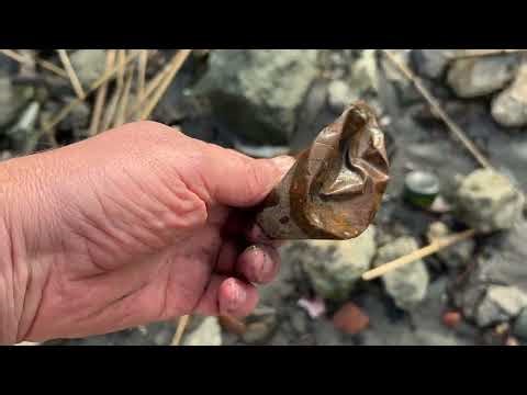 Unedited footage of a mudlarking adventure of Mud Bagger. Come along!