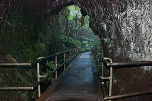 Hawaii Lava Tubes: What Are They & Where to See Them - Go Visit Hawaii