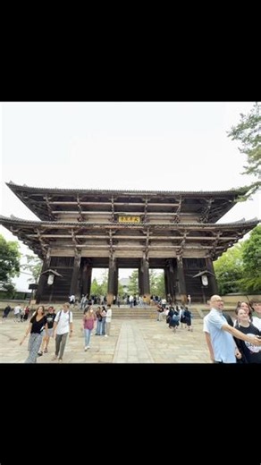 大阪～奈良～京都 自由行！ #奈良 #关西 #心斋桥#大阪城