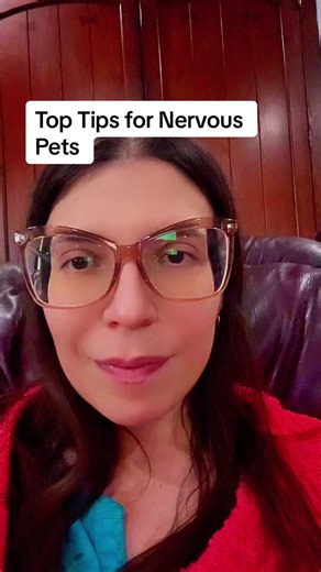 Animal communicator top tips for nervous pets #fyp #AnimalCommunicator #separationanxiety #JobToDo #pettips