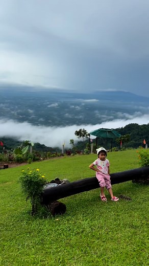 105 reactions · 55 shares | Na para bang napindot yung “Hungry” button  #camping #campingphilippines #joaquinsandmarias | Joaquins & Marias | Facebook