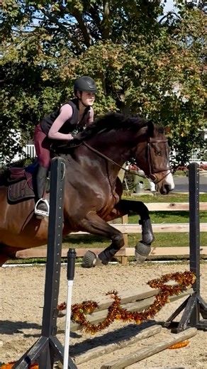 198K views · 9.9K reactions | Hunters count strides. So we played a game how many away can you count? I got up to 13!! So much easier for Kronos to move up than compact!!! Love this guy❤️ Does your trainer make you count strides? | Tori Lubov | Facebook