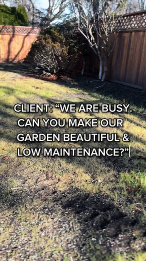 🌿✨ Need a Low-Maintenance Garden? We recently completed a gorgeous, low-maintenance garden in Oak Bay, perfect for busy lives. Check out the transformation and see how we can design your dream garden with minimal upkeep. What do you think? Share your thoughts in the comments! Discover more of our projects and services on our website. Transform your outdoor space today! 🌸🏡 #garden #plants #trees #gardeningtips #landscapedesign #landscape #gardendesign #patio #backyard #yard