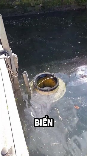 Chiếc thùng rác đại dương tự động làm sạch biển #shorts