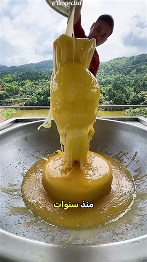 The Secret to Why the Japanese Don't Age! 🇯🇵🤫