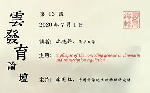 20200701_第13讲_2_A glimpse of the noncoding genome in chromatin and transcription