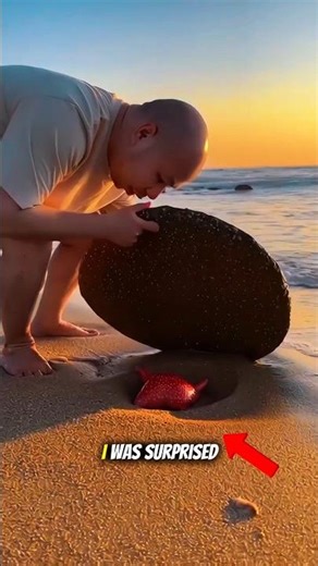 Strawberry Hidden Inside a Rock! 🍓 Amazing Taste & Fun Milkshake Idea” #usa #trending #viralvideo