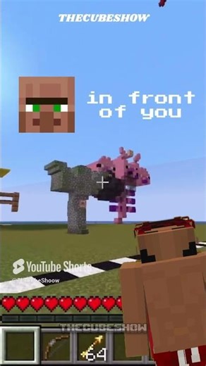 VILLAGER VOICE | HOW TO MAKE IT?