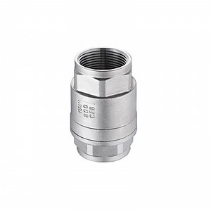 [Hot Item] SUS304 1000wpg SUS316 Stainless Steel Spring Check Valve