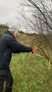 4.6K views · 353 reactions | Now's the time of year for planting...