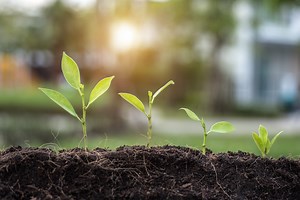 Maximizing the potential of smarter, better, circular strategies