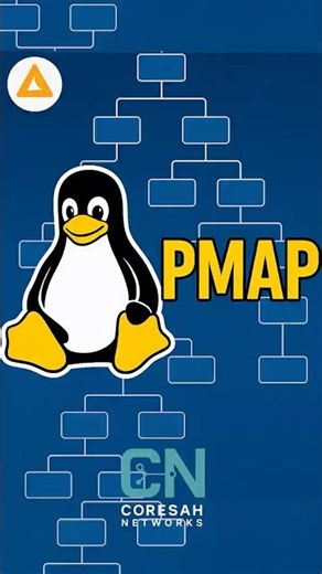 Linux Tips: Pmap How to Check Process Memory Mapping in Seconds! 🔥 #linux #kali #shorts #linuxtips