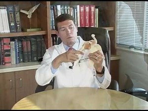 Revision Shoulder Stabilization with Latarjet Procedure