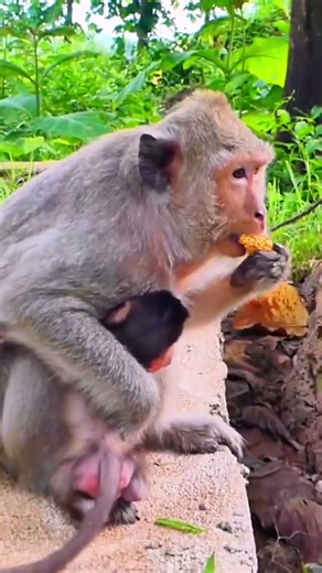Mother takes her child and eats.