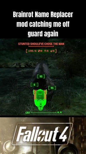 Highly recommend this mod 👀 #fallout4 #fallout