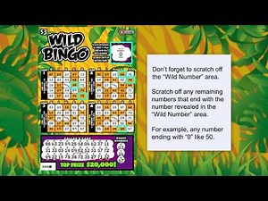How to Play Wild Bingo