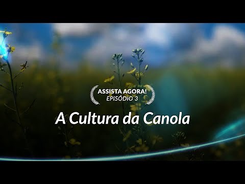 Rota Regenerativa | Episódio 3: A Cultura da Canola