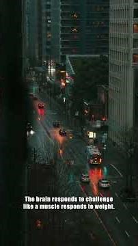 Neuroplasticity: The science that proves your brain can rewire itself at any age