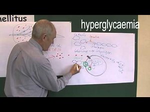Diabetes 4, Type one and type two pathophysiology