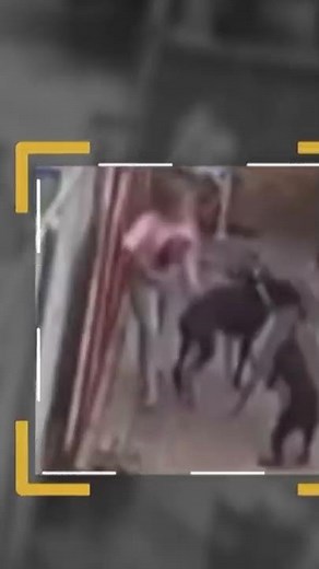 Dobermans Risks Their Life to Protect Owner From Muggers | An Animal Saved My Life | A&E #shorts