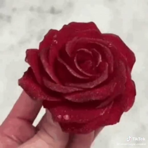 Nostalgic Animation Memes Moodboard from 2016 to 2019