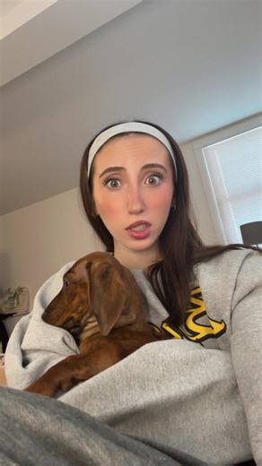 TikTok meet Archie, short for Archibald | archie