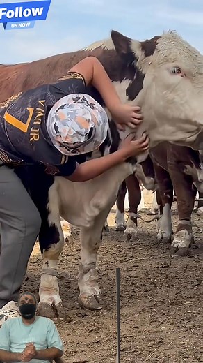 Big bull 1100 kg big gaint bull #animal #buffalo #animals #bull #turkey | Tanisha life style