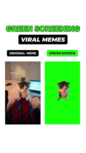 Scuba Kitten Meme: Original vs. Green Screen