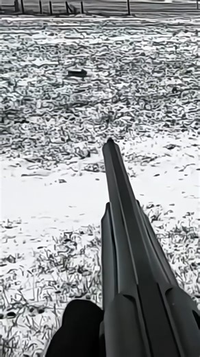 Rabbit Was Surviving But Killed 😳 #viralvideo #wildlife #wildlifeentertainment #deerhunting #rabbit