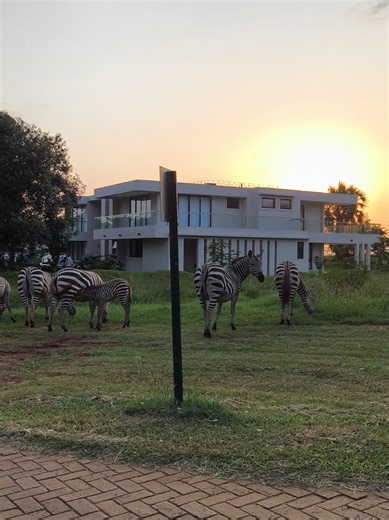 Welcome to March at Mkoma House 🌴✨ Step into sunshine, serenity, and pure luxury at Mkoma House — your ultimate vacation escape in the heart of Vipingo Ridge. This month of March, trade the noise for ocean breezes, morning swims, scenic golf views, and unforgettable moments with family and friends. Whether it’s relaxation, celebration, or a quiet reset, Mkoma House is the perfect place to make it happen. 🌊 Spacious 5-bedroom luxury villa 🌅 Stunning views & peaceful surroundings 🏖 Close to th