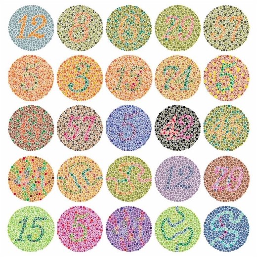 Color Blindness Test 👁️ | Can You See All Numbers? #shorts#colourvision#vision#eyes#test#army#ssc