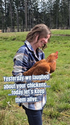 Yesterday we joked about your flock, today we’re being honest. Chickens get into trouble fast, and when they do, it helps to have what you need on the shelf instead of in town or online. Our Chicken Emergency Kits are stocked with the things you reach for first, like Germe Zone Life Saver and Poul Vite, plus the basics you never think about until you need them right away. If you want to be ready before the next scrape, chill, or odd behavior, call 778 428 2540 and we can set one aside for you. |