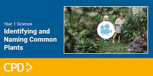 Identifying and Naming Common Plants in Year 1 Video CPD