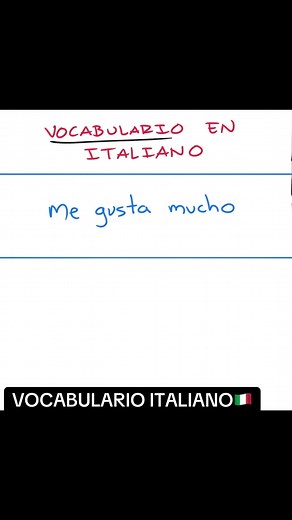 Vocabulario italiano básico — palabras y frases esenciales