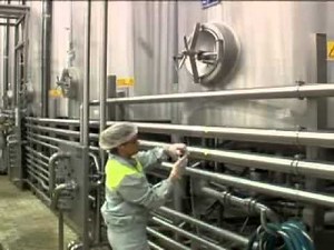 Visite d'une usine de Coca Cola