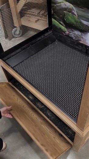 138K views · 1.2K reactions | Birds may be messy, but clean up is easy with our pull-out floor systems! Learn more about this helpful feature at https://www.customcages.com/pull-out-floor-system.html  #birds #finches #canaries #parrots #pets #enclosure #aviary #madeinwisconsin #adamsspecialtyproducts #customcages | Custom Cages | Facebook