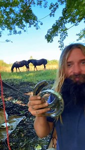 9.7K views · 8.6K reactions | Hanging up the saddle for the season means pulling the horses shoes and turning em out to pasture. They all work hard half the year and get the other half off. I got some great horses that surprise a lot of folks. My animals are all very strong athletes that are also small in size but large in stature. Don’t forget to follow along as we locate a spot to set up a WinterCamp #saddletramp #horseshoes #horseback #camping | Michael Ridge | Facebook