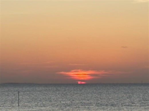 Lisa Zhou (@lisazhou66)’s videos with True - Spandau Ballet