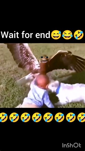 Nasta 😅😂🤣 #funny #animals #dubbing #comedy #new #shorts #dog #cat #doglove #memes