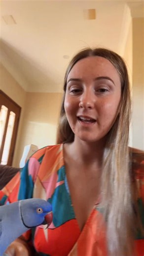 Bridget Chant on Instagram: "Chlamydia psittaci is a birdy lung infection, Hamlet hasn’t been a naughty boy."