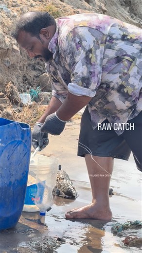 RAW_CATCH | Old Indian MMA guy catching mullet fish using bottle trap! | Instagram