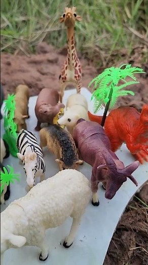 Dirty Dinosaurs and Tigers Get Washed Off 🦕🐅 #animalsforkids #satisfying