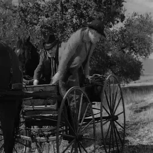 43 reactions | Gunsmoke S06E19 – Tall Trapper P4 | Kungfu In Life | Facebook